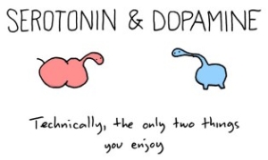 serotonin en dopamine serotonine, dopamine, noradrenaline, melatonine